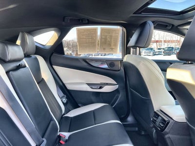 2024 Lexus NX 350 Premium