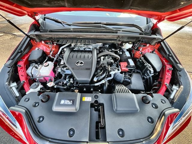 2024 Lexus NX 350 Premium