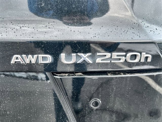 2023 Lexus UX 250h Premium